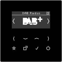 Smart DAB+ Digitalradio DAB LS SW schwarz