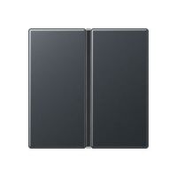 Tastensatz 1-fach A 401 TSA ANM anthrazit matt