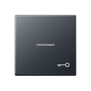 Wippe Symbol Tür bel. A 590 BF KO5 T ANM