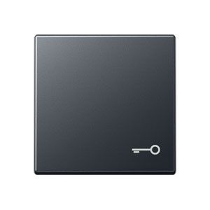 Wippe Symbol Tür A 590 BF T ANM