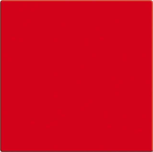Wippe rt 2506-917 Wippe rt 2506-917