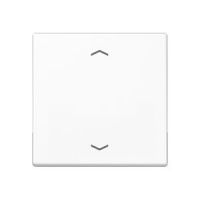 Wippe 1-fach A 590 BF P WW