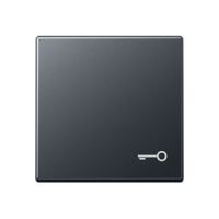 Wippe Symbol Tür A 590 BF T ANM