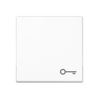 Wippe Symbol Tür A 590 BF T WW