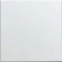Blindzentralscheibe 1576 C-914