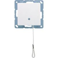 Zugwechselschalter 10 AX A 506 BF NUZ WW