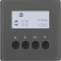 Jalousie-Schaltuhr 85741126 anthrazit samt lackiert