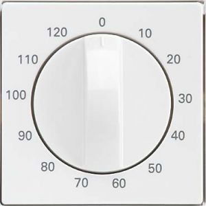 Zentralplatte Zeitschalter 223094