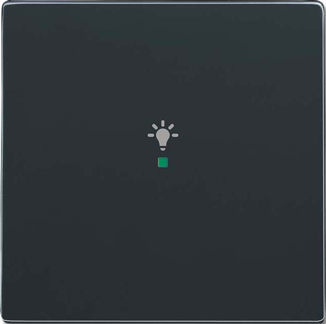 Wippe 1-fach, Symbol Licht 6231-10-81 Wippe 1-fach, Symbol Licht 6231-10-81