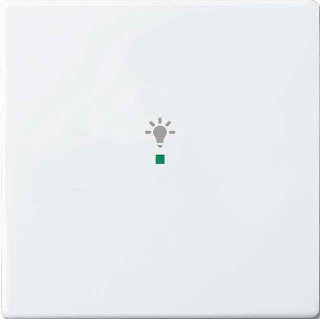 Wippe 1-fach, Symbol Licht 6231-10-84 Wippe 1-fach, Symbol Licht 6231-10-84