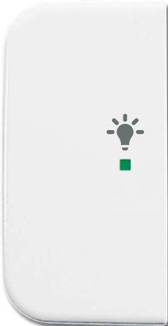 Wippe 1-fach, Symbol Licht 6231-21-214 Wippe 1-fach, Symbol Licht 6231-21-214