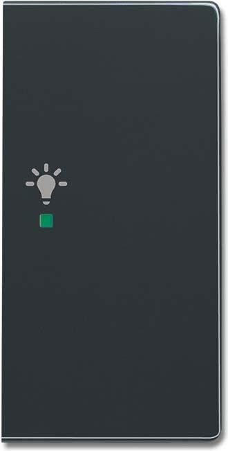 Wippe 2-f re, Symbol Licht 6231-22-81 Wippe 2-f re, Symbol Licht 6231-22-81