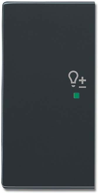 Wippe 2-f li Symbol Dimmer 6234-21-81 Wippe 2-f li Symbol Dimmer 6234-21-81