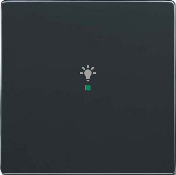 Wippe 1-fach, Symbol Licht 6231-10-81 Wippe 1-fach, Symbol Licht 6231-10-81