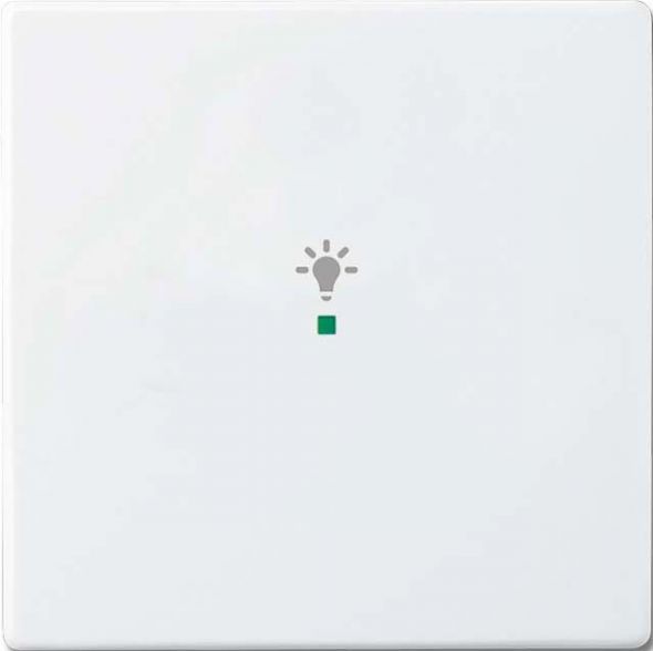 Wippe 1-fach, Symbol Licht 6231-10-84 Wippe 1-fach, Symbol Licht 6231-10-84