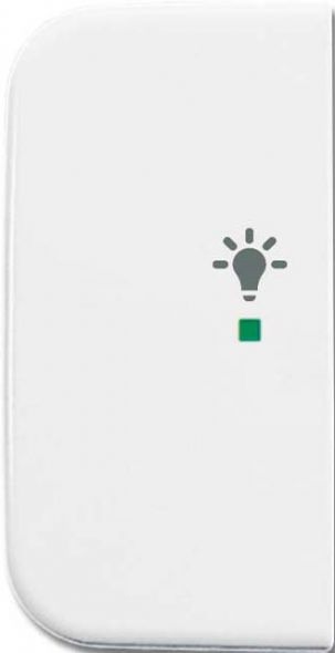 Wippe 1-fach, Symbol Licht 6231-21-214 Wippe 1-fach, Symbol Licht 6231-21-214