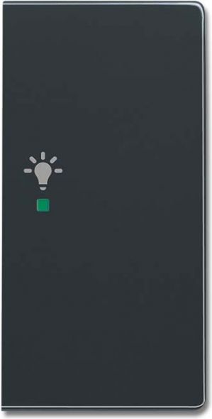 Wippe 2-f re, Symbol Licht 6231-22-81 Wippe 2-f re, Symbol Licht 6231-22-81