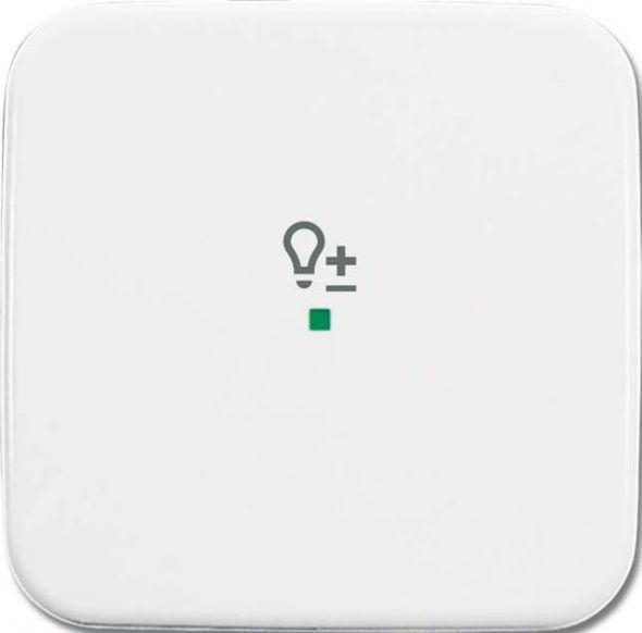 Wippe 1-fach, Symbol Licht 6234-10-214 Wippe 1-fach, Symbol Licht 6234-10-214