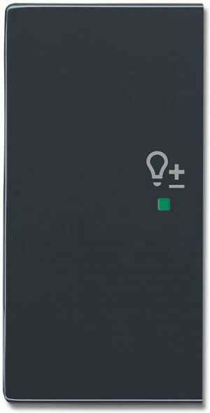 Wippe 2-f li Symbol Dimmer 6234-21-81 Wippe 2-f li Symbol Dimmer 6234-21-81