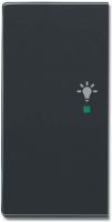 Wippe 2-f li, Symbol Licht 6231-21-81