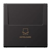 Hotelcard-Schalter AL 2990 CARD dark