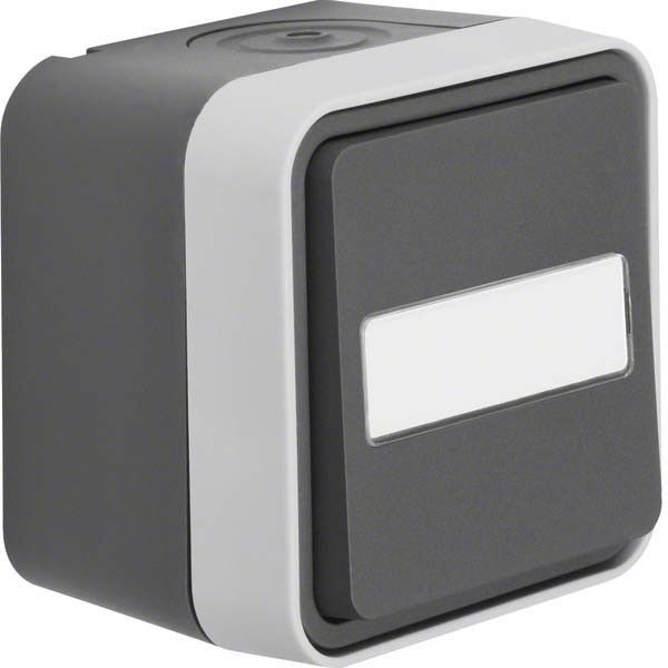 Wechselschalter 30763555 grau/lichtgrau matt Wechselschalter 30763555 grau/lichtgrau matt