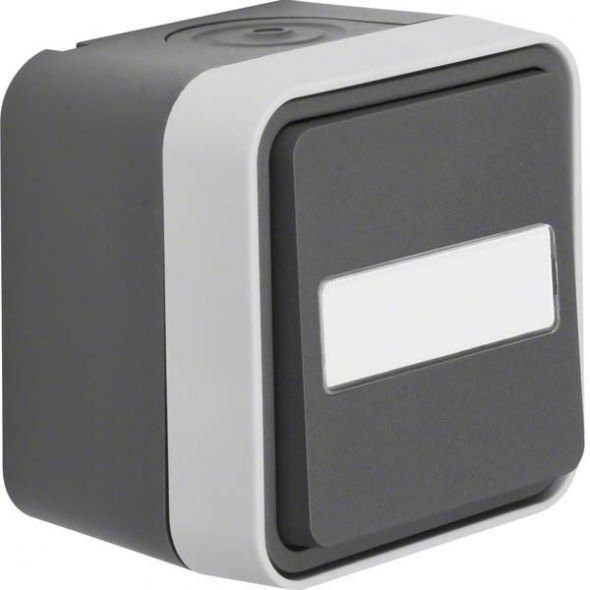 Wechselschalter 30763555 grau/lichtgrau matt Wechselschalter 30763555 grau/lichtgrau matt