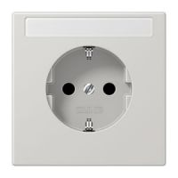 SCHUKO-Steckdose LS 1520 NNA LG