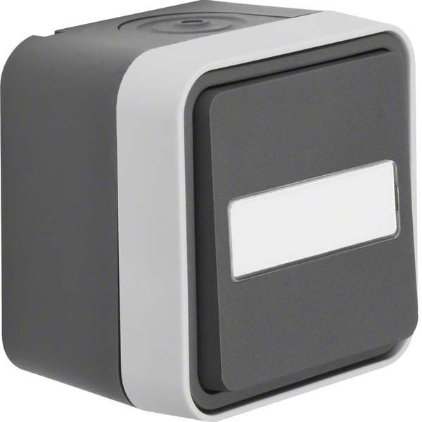 Taster 50763555 grau/lichtgrau matt Taster 50763555 grau/lichtgrau matt