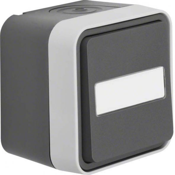 Taster 50763555 grau/lichtgrau matt Taster 50763555 grau/lichtgrau matt