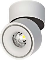 LED-Deckenspot 12061073