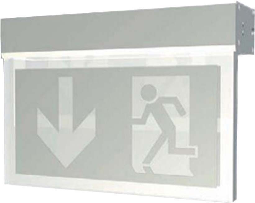 ECO-LED-Sicherheitsleuchte 54202