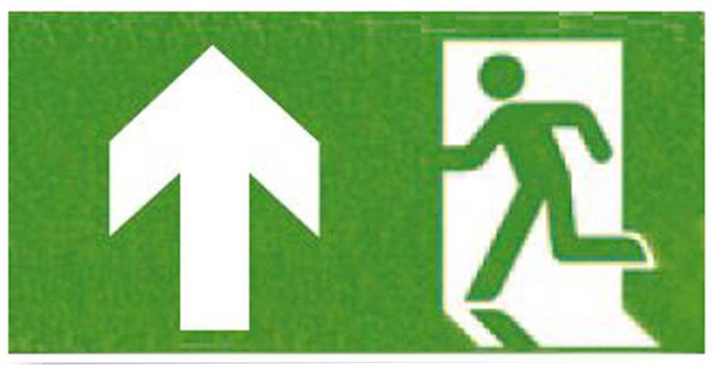 ECO-LED-Sicherheitsleuchte 54216