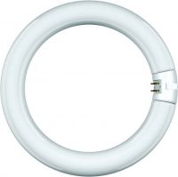 Leuchtstofflampe Ringform 44100