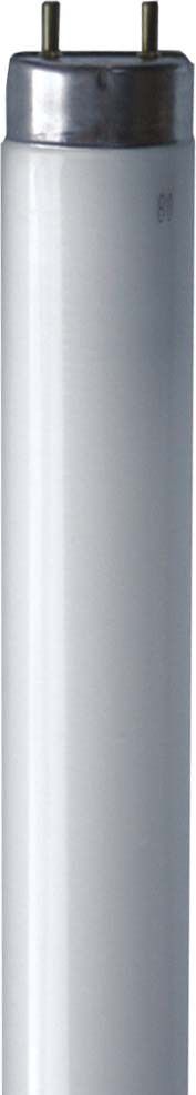 Leuchtstofflampe T8 68335