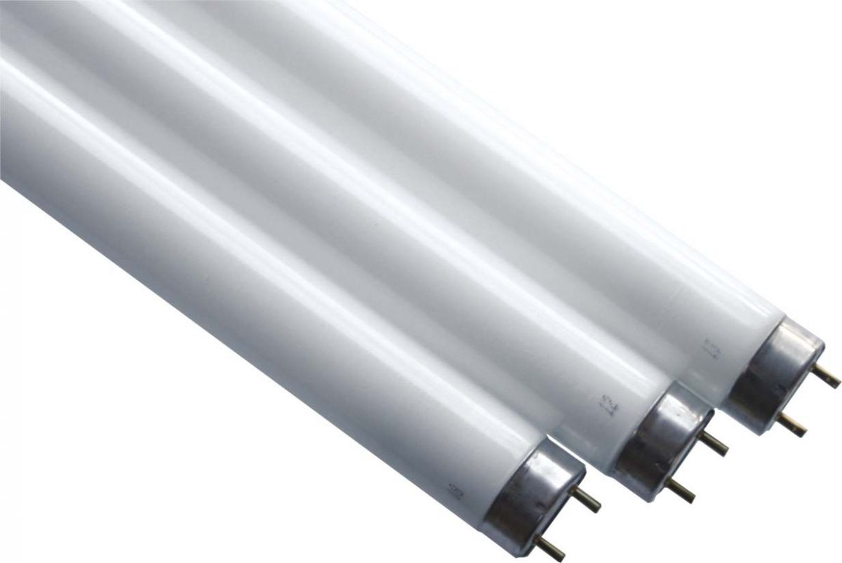 Leuchtstofflampe 44167