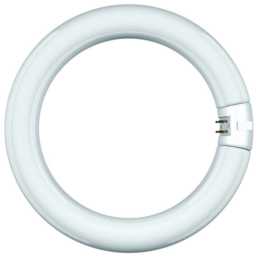 Leuchtstofflampe Ringform 68326