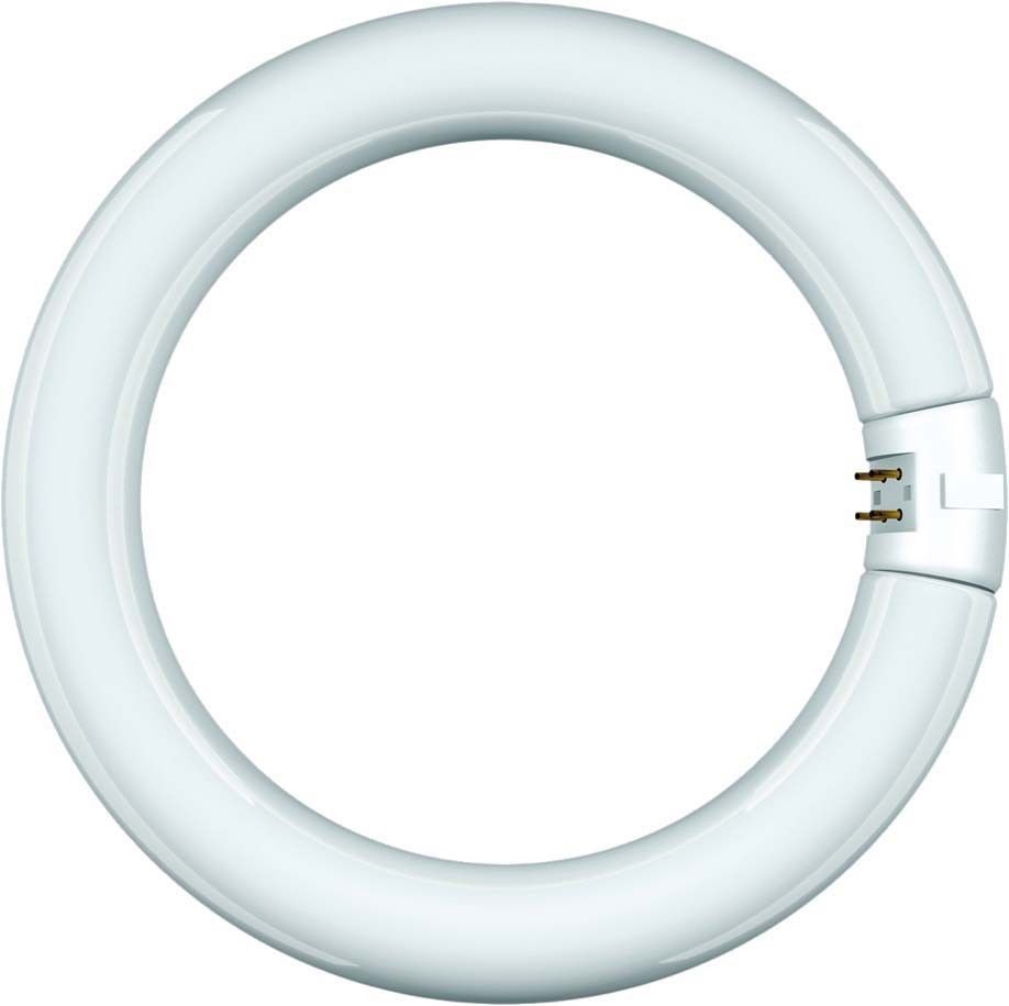 Leuchtstofflampe Ringform 68818