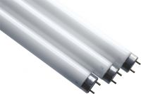 Leuchtstofflampe 44167