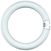 Leuchtstofflampe Ringform 68326