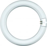 Leuchtstofflampe Ringform 68818