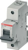 Arbeitsstromauslöser S800-SOR24