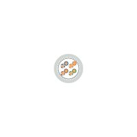 ETHERLINE LAN Cat.5e 2170951/100