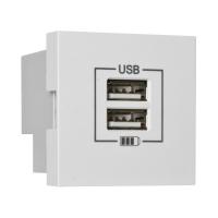 Modular-Einsatz USB-Ladegerät Ausgang 2 x Typ A 5V2 1A 45 x 45