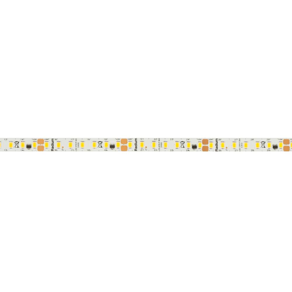 LED-Flexstreifen STRIP 900 S 2835-SMD-LEDs/24V/36W L 5 m 700 LEDs~7,2W/m ~900 lm/m LED-Flexstreifen STRIP 900 S 2835-SMD-LEDs/24V/36W L 5 m 700 LEDs~7,2W/m ~900 lm/m