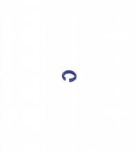 Markierungsring V1-MARKING-RING-BLUE Markierungsring V1-MARKING-RING-BLUE
