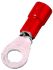 Quetschkabelschuh ICIQ15