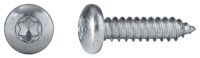 Linsen-Blechschraube-C 6053/001/01 4,2x13