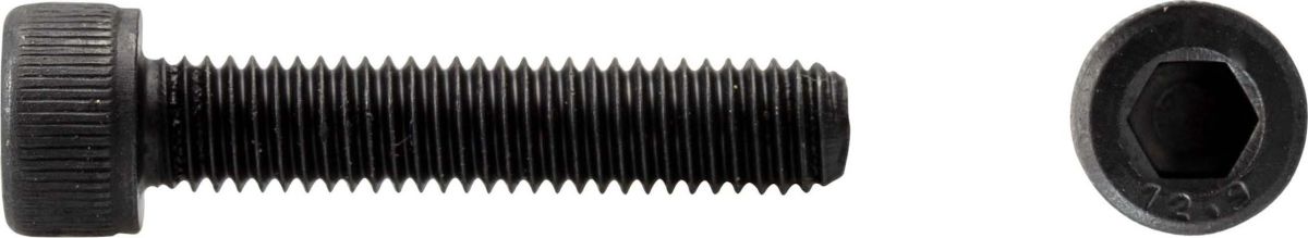 Zylinderschraube 12.9 0302/000/01 24x70 Zylinderschraube 12.9 0302/000/01 24x70