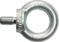 Ringschraube C 15 E 0639/001/99 10